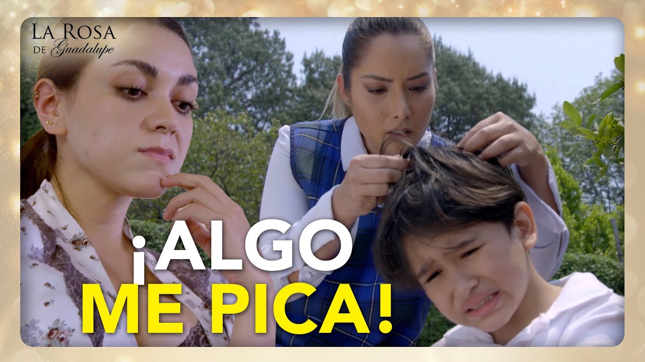 Miguelito está piojoso por culpa de la fodonga de su madrastra